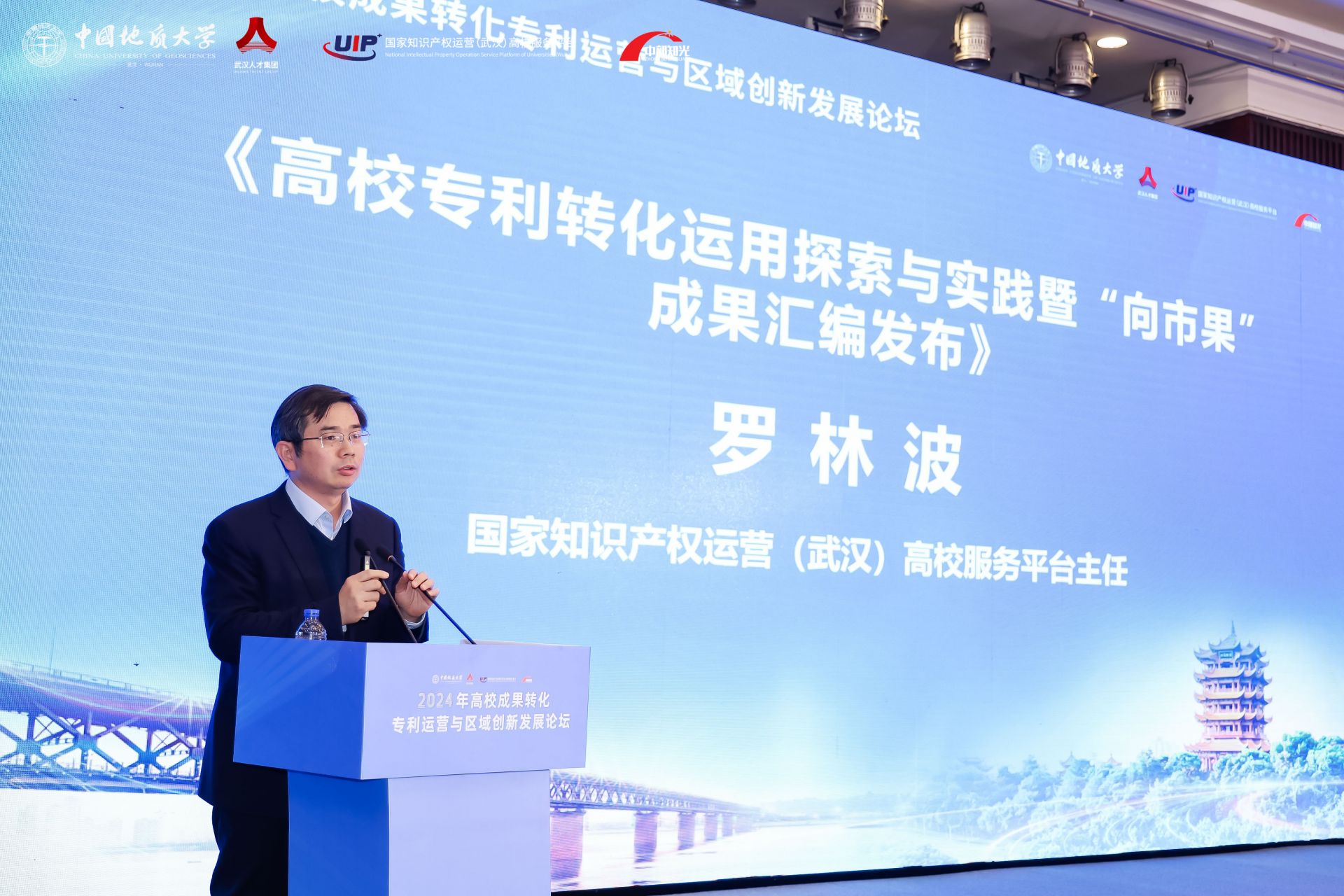 國家知識產(chǎn)權(quán)運(yùn)營（武漢）高校服務(wù)平臺負(fù)責(zé)人羅林波.jpg.jpg